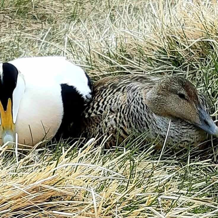 355805210_1564209294106347_1800416494367609961_n