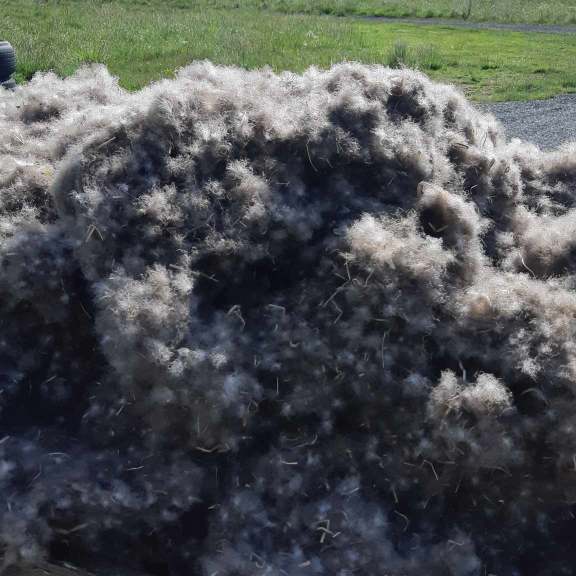 356965843_1636597136826653_6651769960818379104_n